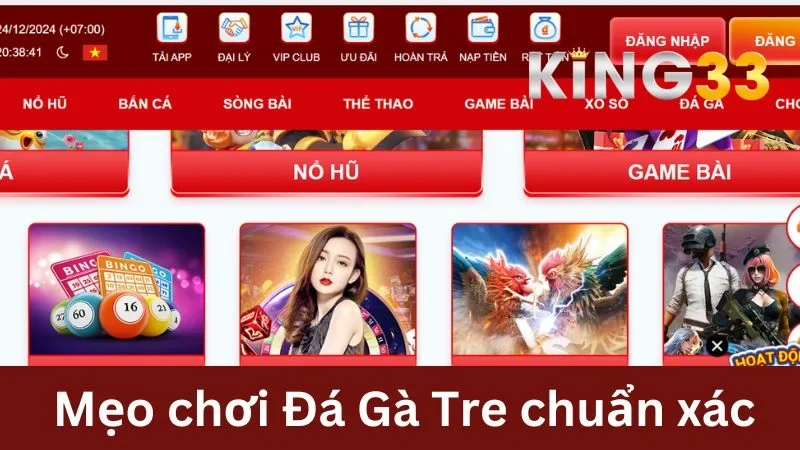 Đá gà Tre với mẹo chơi chuẩn xác