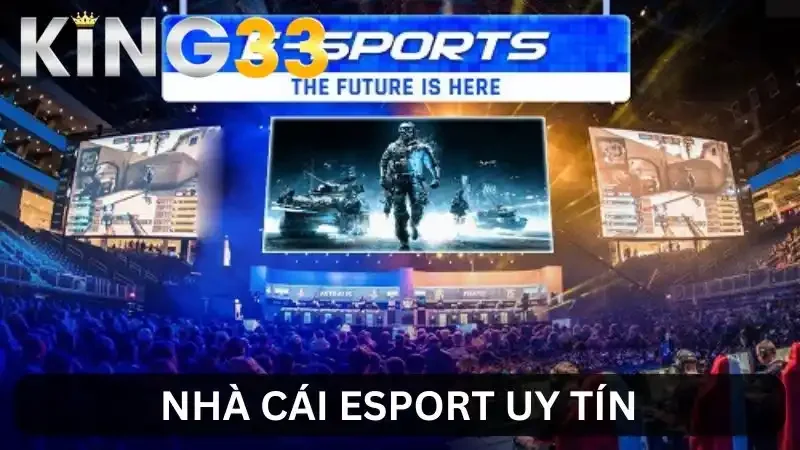 Nhà Cái Esport Uy Tín - 10 Địa Chỉ Không Thể Bỏ Qua